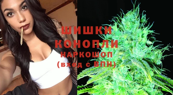 дживик Беломорск