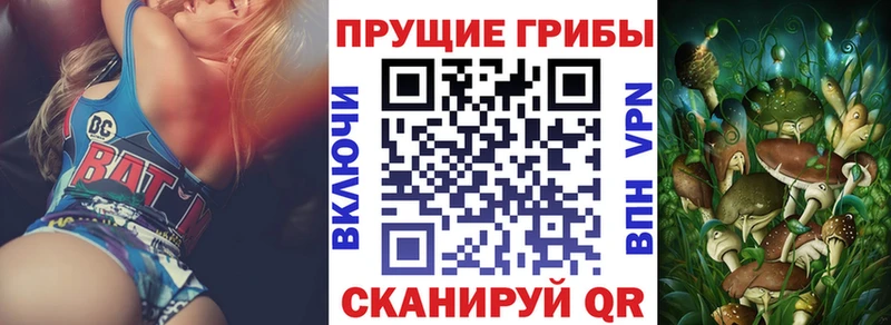 Галлюциногенные грибы Cubensis  omg   shop клад  Жирновск 