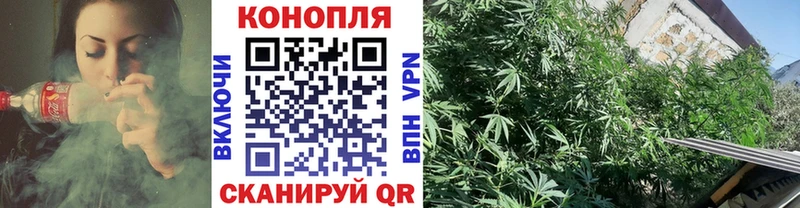 Шишки марихуана гибрид  Жирновск 